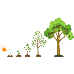 The Little Seed's Big Dream